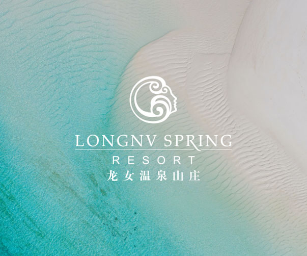 上海品牌設(shè)計(jì)公司如何設(shè)計(jì)一份具有吸引力的品牌VIS設(shè)計(jì)手冊(cè)