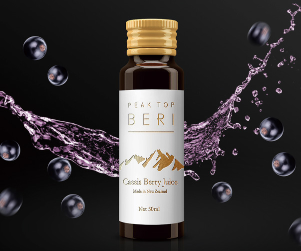 酒店Logo設(shè)計(jì)案例說明：Corisels的品牌重塑