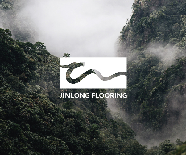 品牌設(shè)計(jì)的未來科技：探索人工智能在設(shè)計(jì)中的應(yīng)用